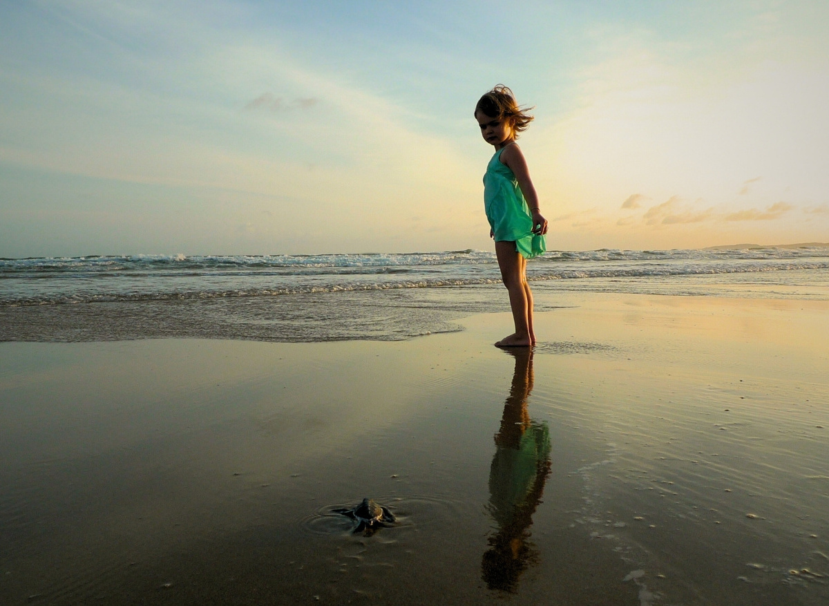 MONSOON COAST