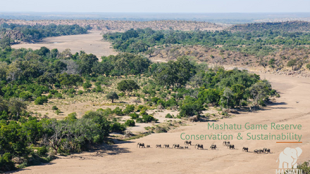 Mashatu+Game+Reserve+Conservation+%26+Sustainability.png