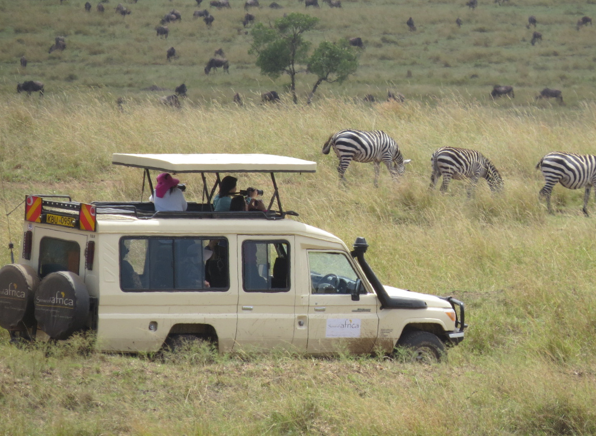 Land Cruiser in the park 2.jpg