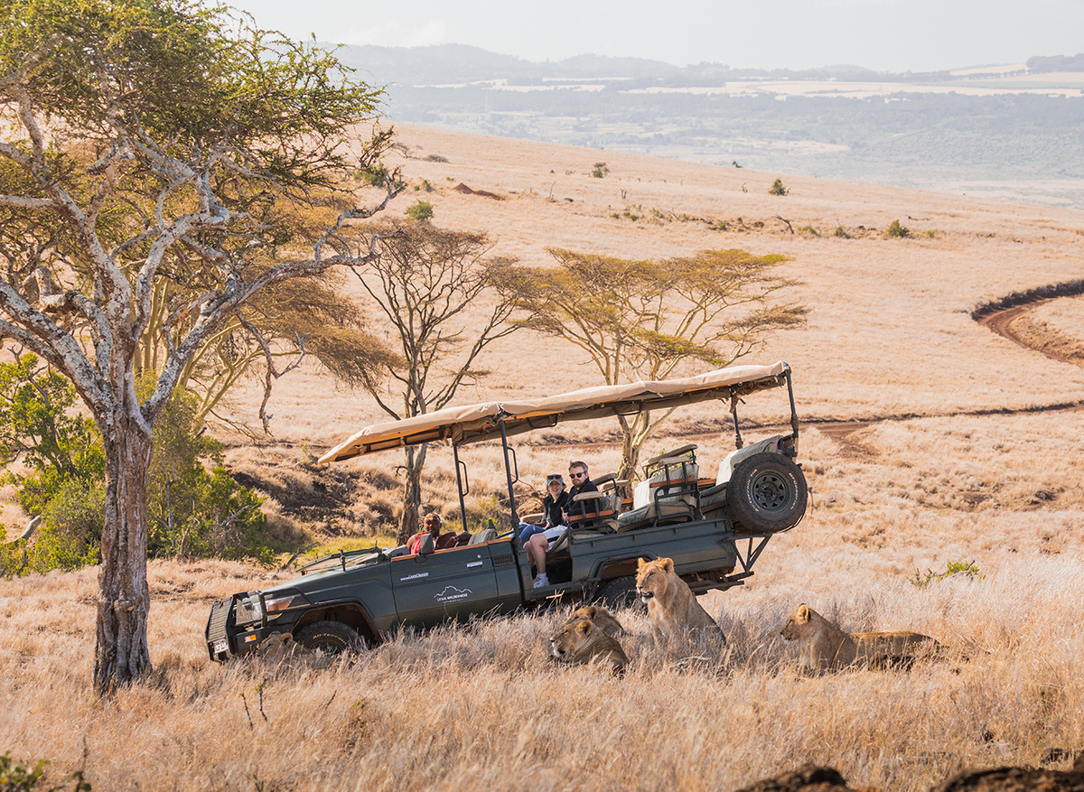 Game drive, with lions (electric car).jpg