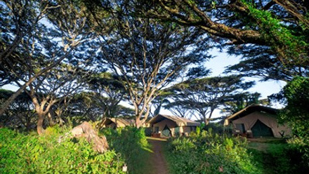 Lemala Ngorongoro DSC05246.jpg