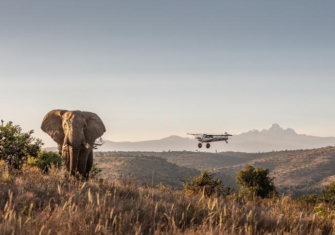 Borana Approved_DSC0129 © James Lewin (1) (1).jpg