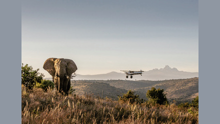 Borana Approved_DSC0129 © James Lewin (1) (1).jpg