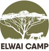 Elwai_Logo_1200px.jpg