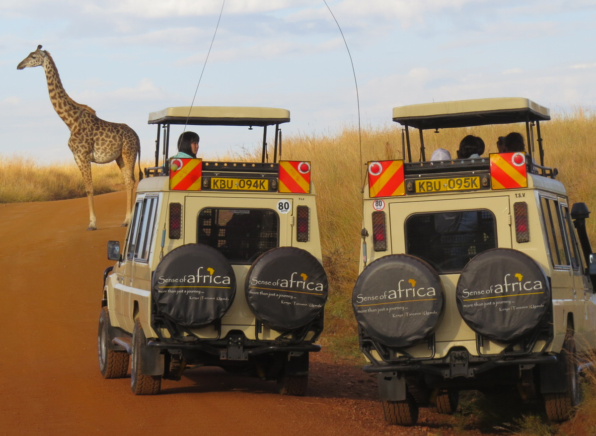 Land Cruiser in the park  11.jpg