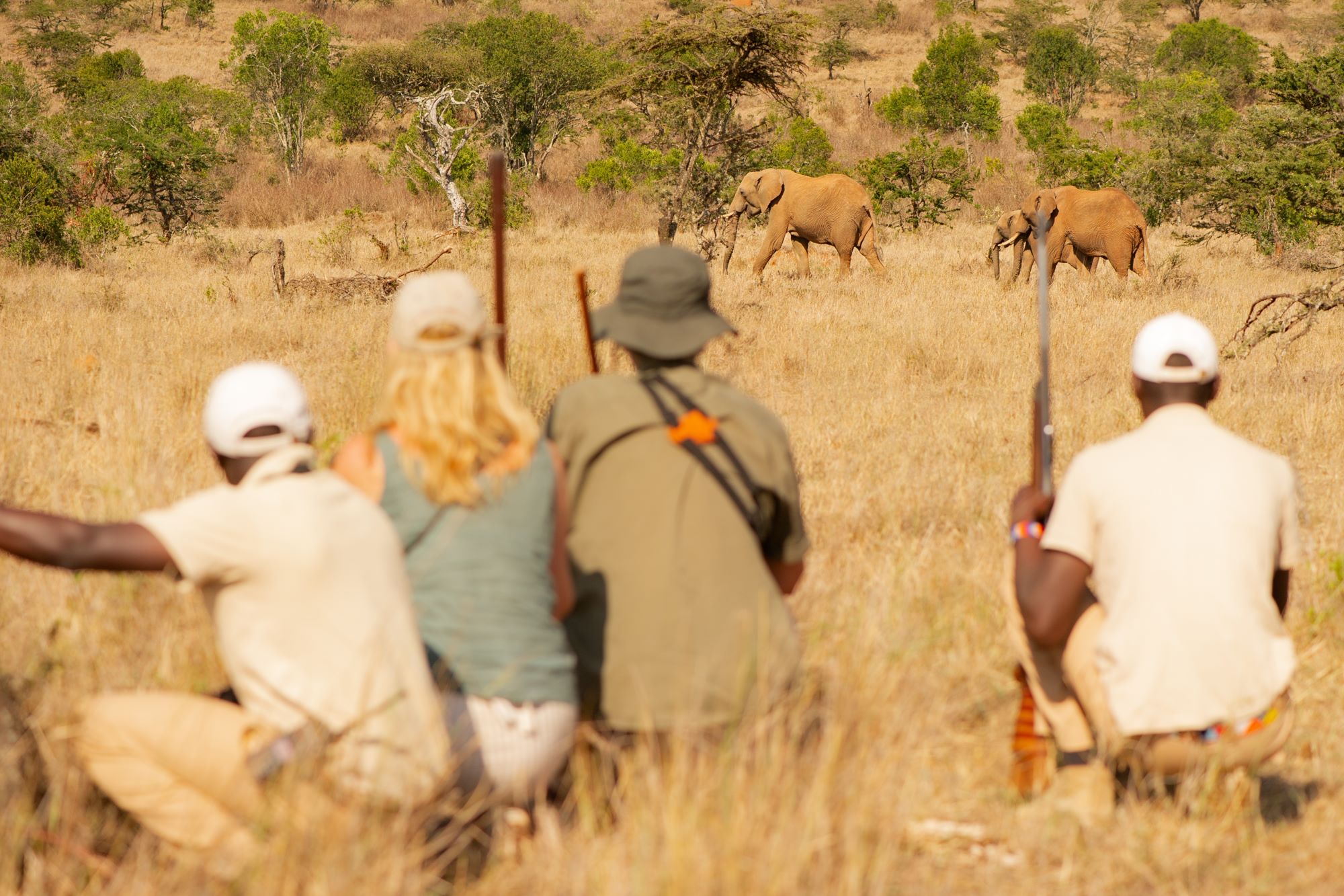El Karama Lodge Promo image.jpg