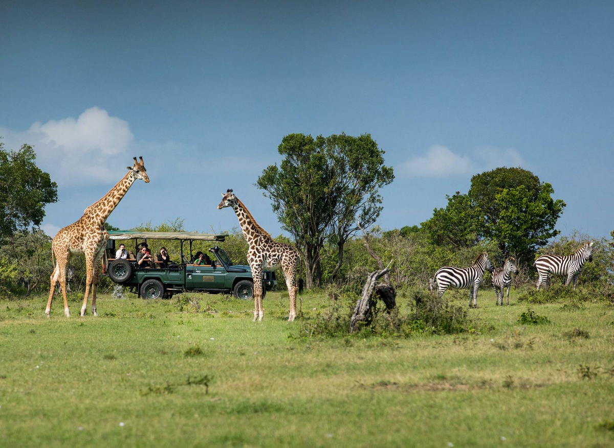 Cottars- Safaris Game Drive Experience