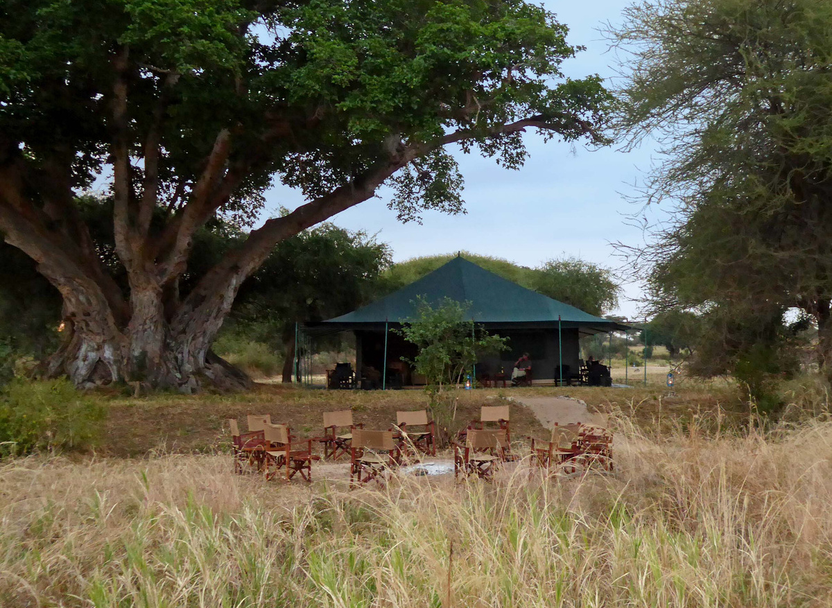 Tarangire View Camp