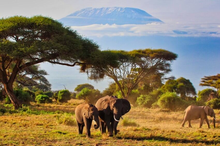 Kenyas-Travel-Tourism-1.jpg