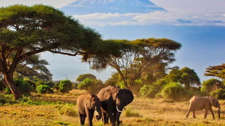 Kenyas-Travel-Tourism-1.jpg