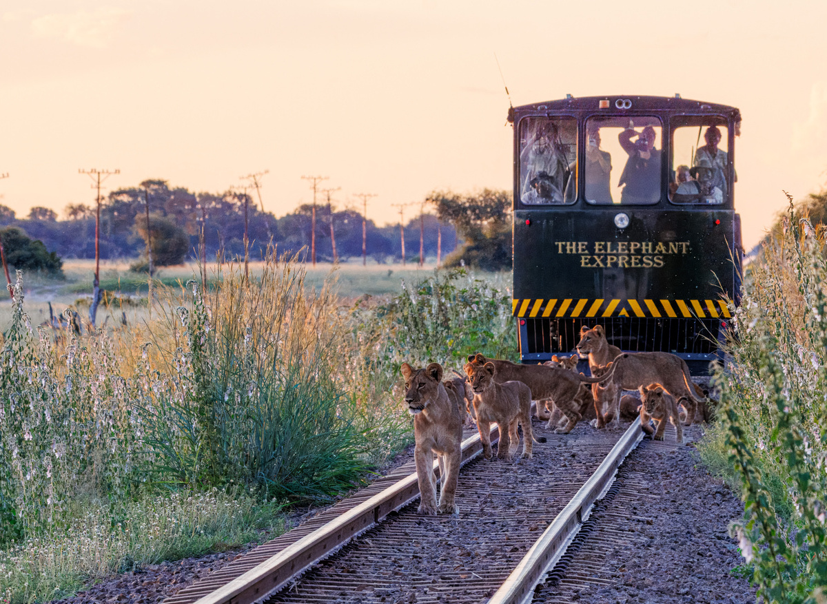 Elephant Express Sundowner Run