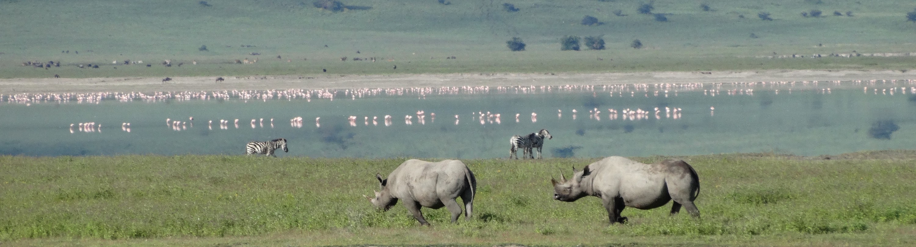 Ngorongoro Crater.jpeg 3