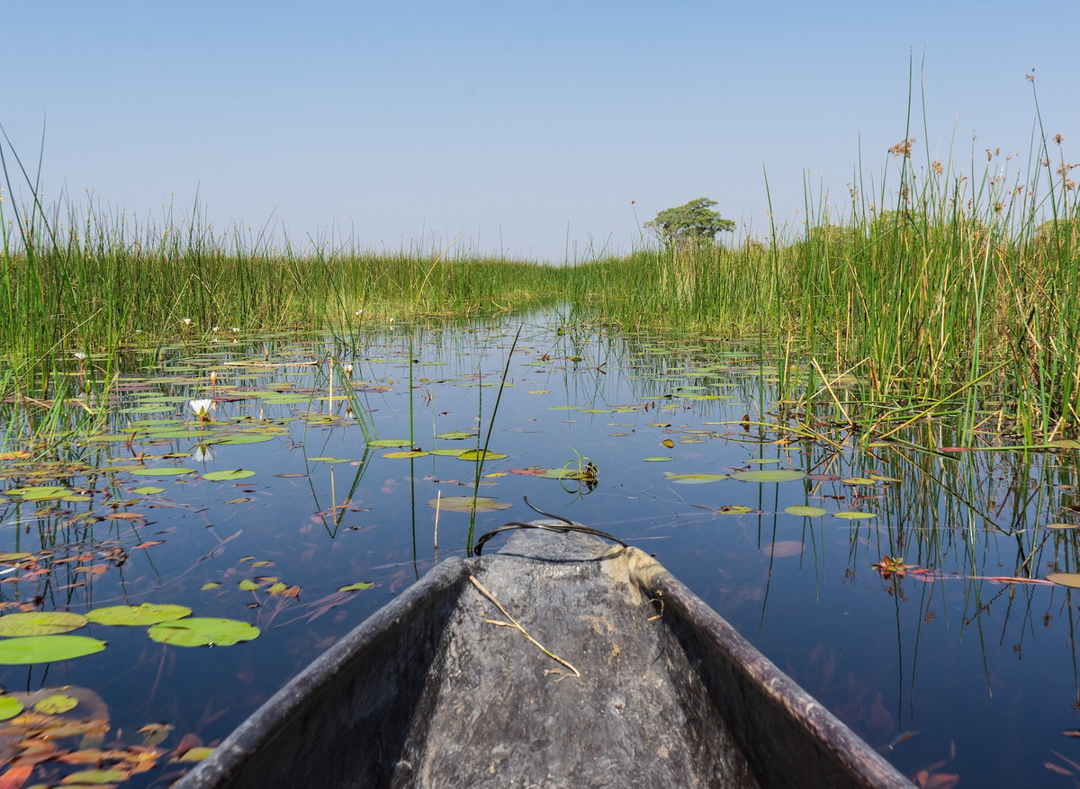 mokoro-safari-okavango-delta.jpeg