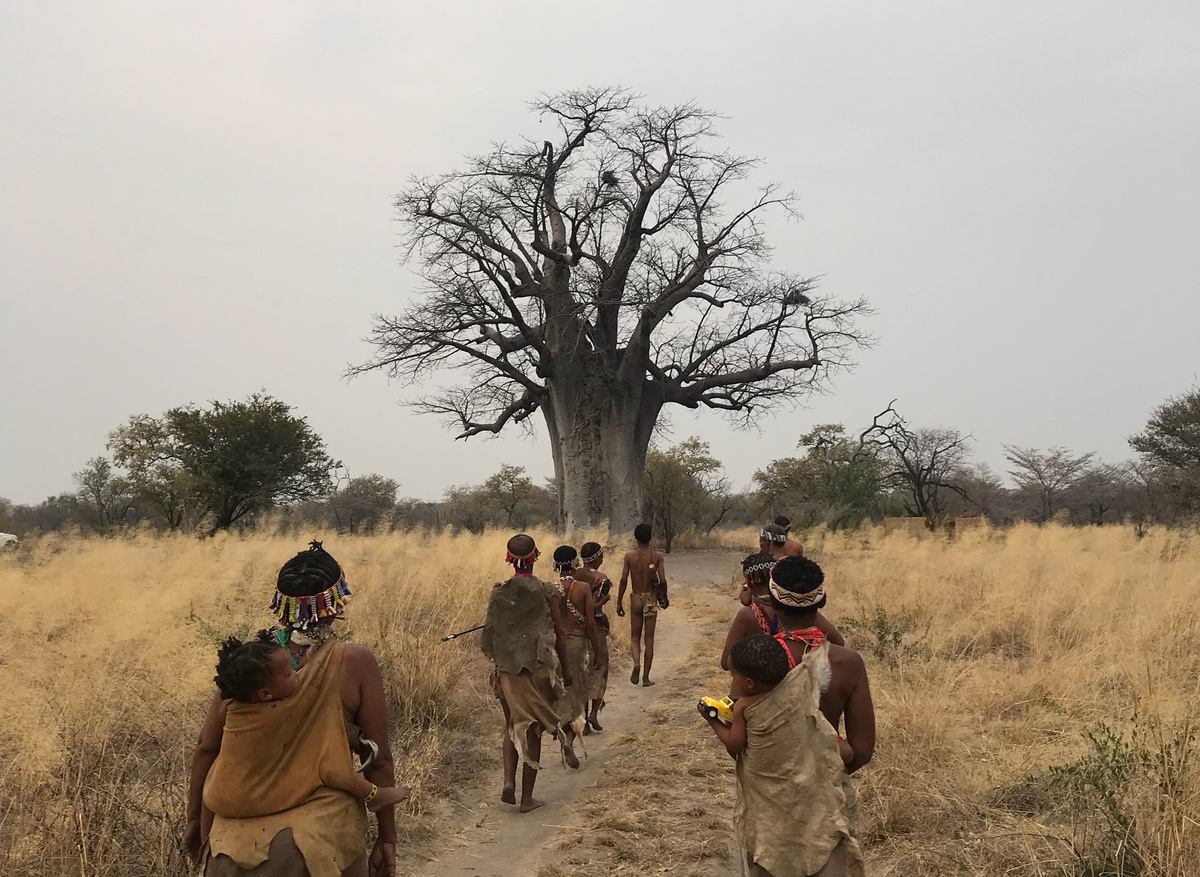 DEL Confort German Sierra.jpeg