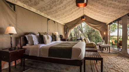 BedTent2Wide.jpg