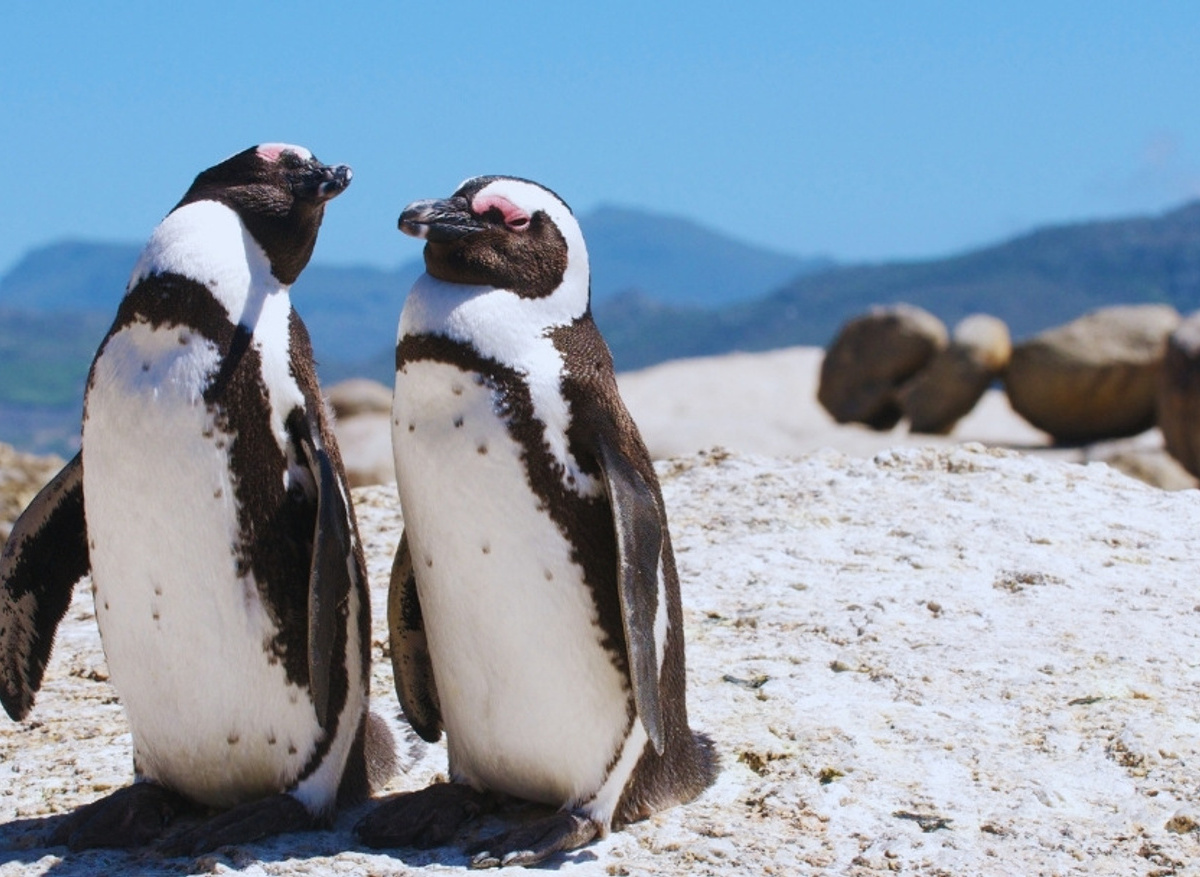 BEACHES & BOULDERS.jpg