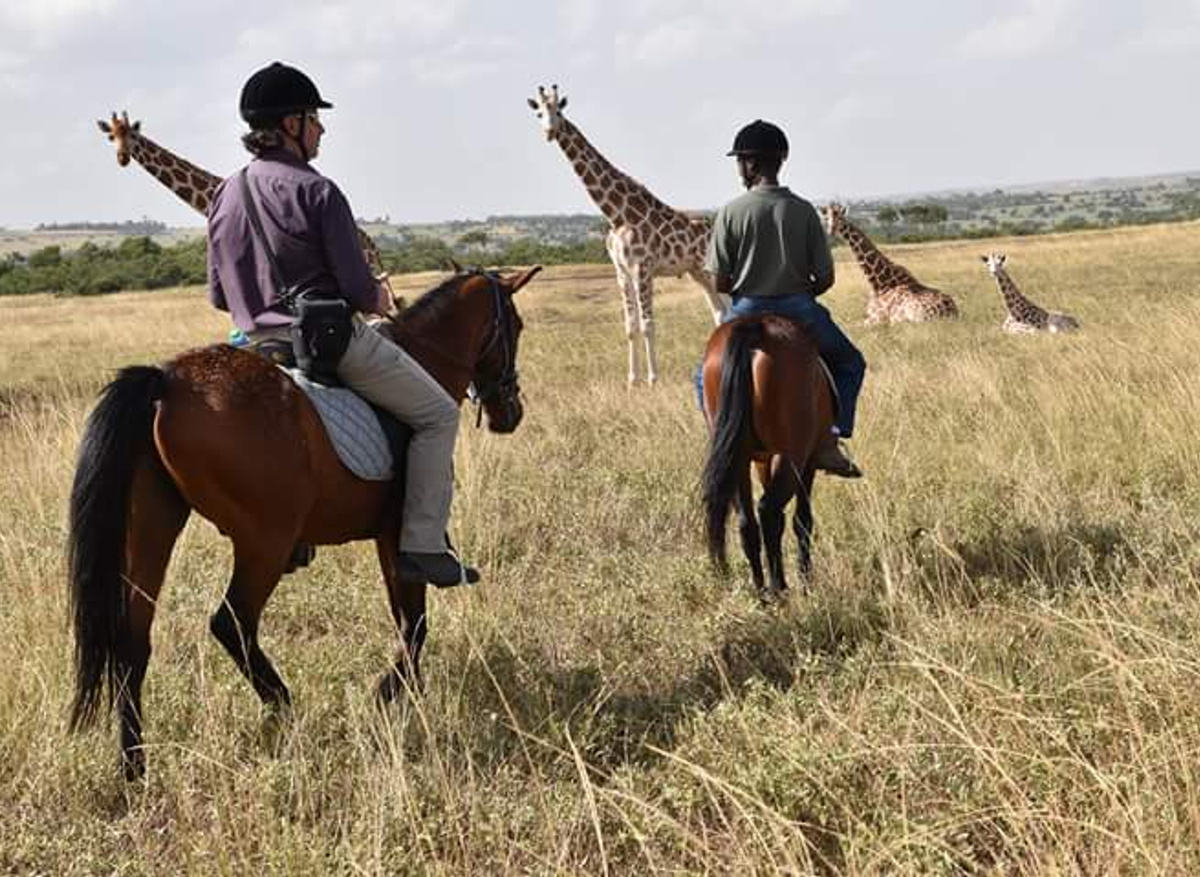 Horseback Game Drive.jpg