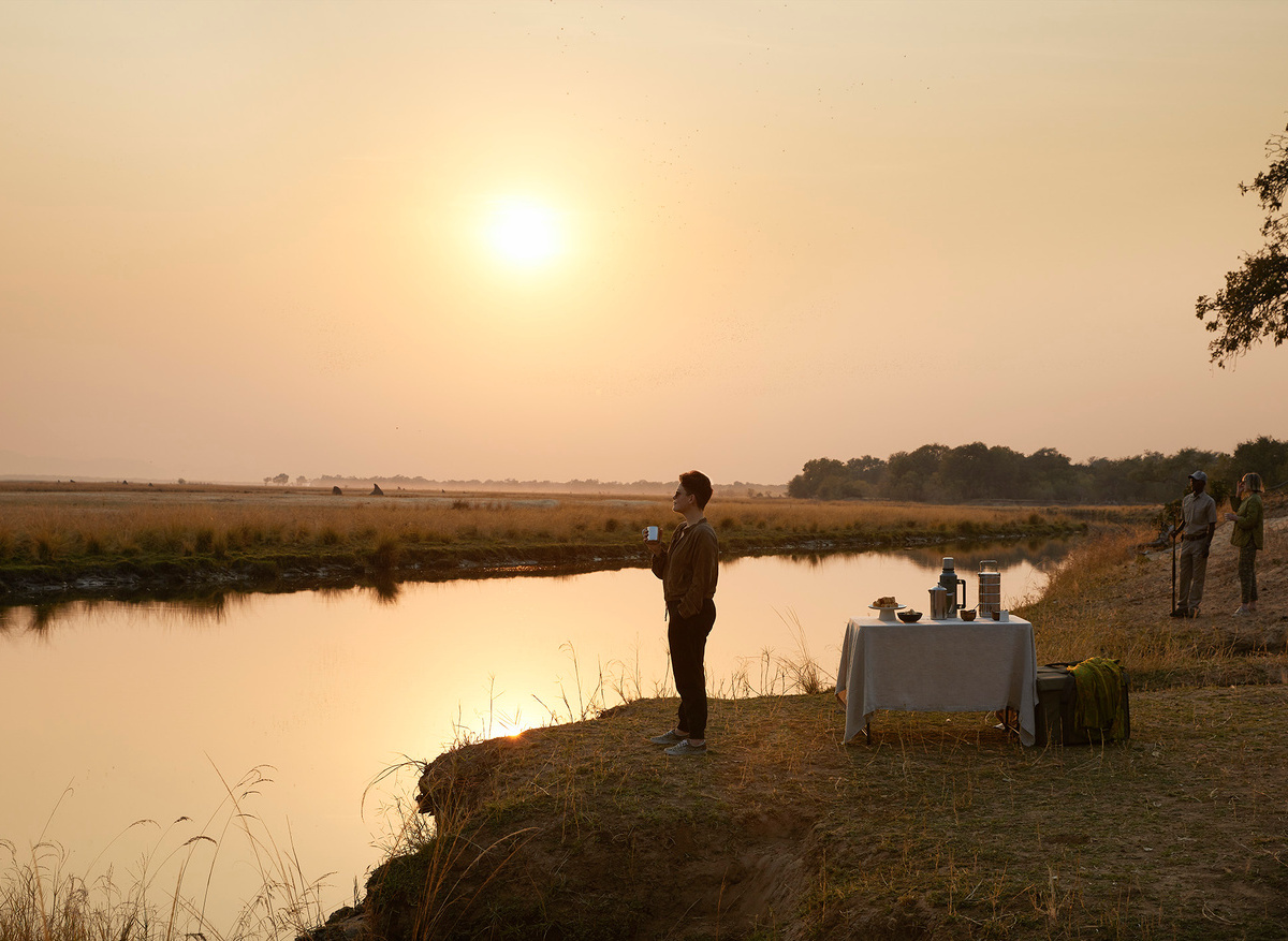 Molori Mashuma Mana Pools Sunrise River Coffee.jpg