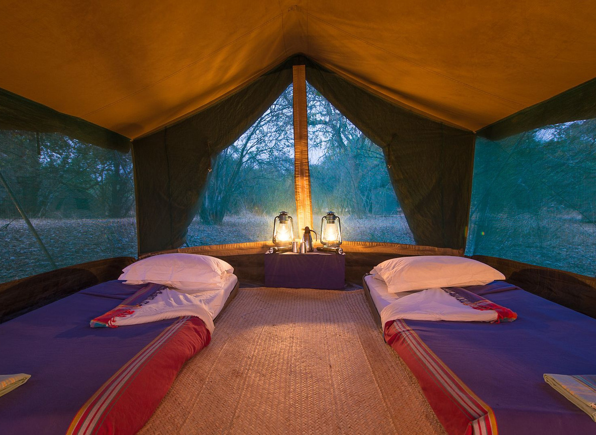 Luangwa Bush Camping - South Luangwa National Park, Zambia