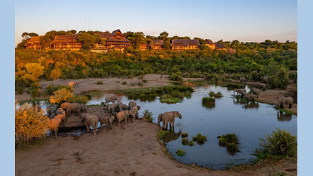 Vic Falls Image.jpg