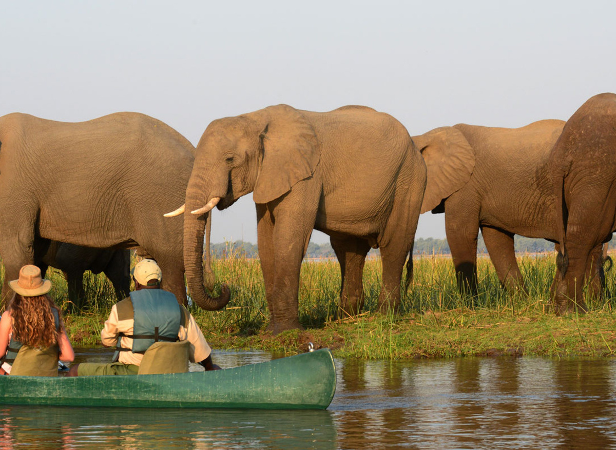 lower-zambezi-canoe-luxury-zambia-safaris.jpg