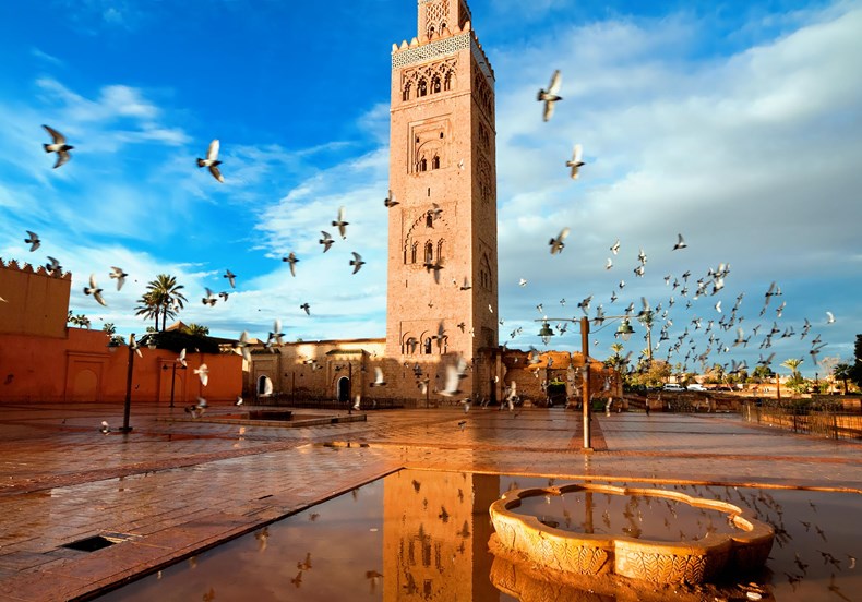 FFC5-marrakech_koutoubia_pigeons_monarch-travel.jpg